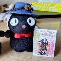 肩を脱臼したじじのすけと後ろのたくみ先輩