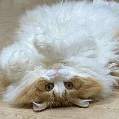 匿名