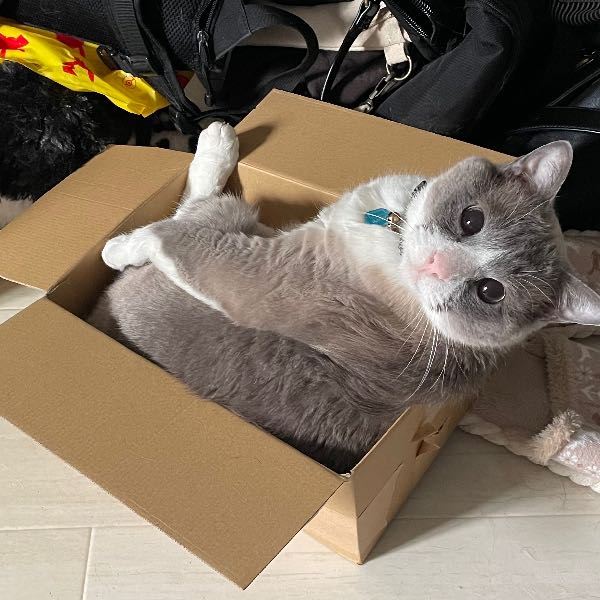 あき