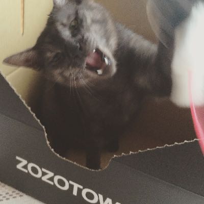 さちもん