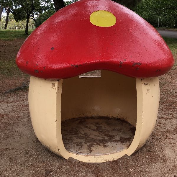 キノコ太郎